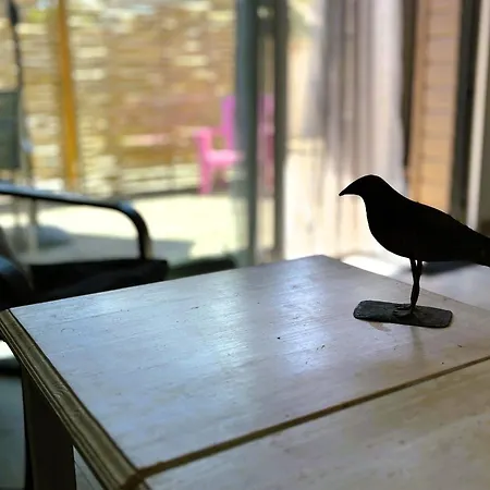 Maison Des Sables Piscine Chauffee 2 100m Des Plages Дом отдыха Ангулен-сюр-Мер