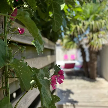 Maison Des Sables Piscine Chauffee 2 100m Des Plages Дом отдыха
